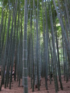 kamakura2