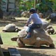 Petit détour à l’Ile Maurice Avez vous aussi envie de visiter l’Océan Indien (île Maurice, Seychelles, Réunion, Sri Lanka, Maldives et Madagascar)? Ce sont des lieux que je ne connais pas encore, donc je remercie Marie d’avoir partagé dans cet article...