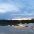 Sacré Bornéo On a adoré notre aventure à Bornéo! Ça vaut vraiment le coup si vous aimez la nature. Par contre il y’avait un souci technique avec le site dés notre retour qui a pris...