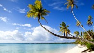 Merci à Xavier pour cette article invité: Véritable île paradisiaque, la Martinique apparaît souvent comme la destination de vacances idéale. Territoire d’exception, où il fait bon vivre, et ensoleillé toute...